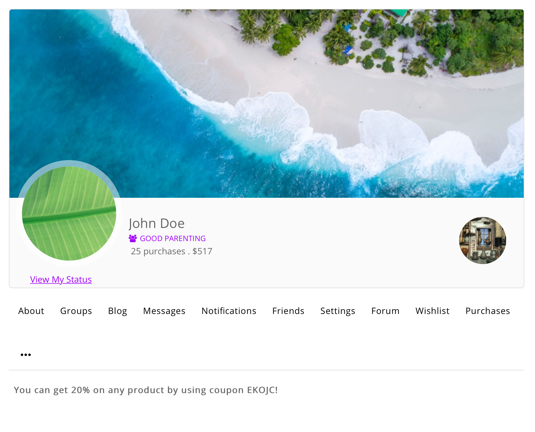 Restricted content visible inside WordPress user profile