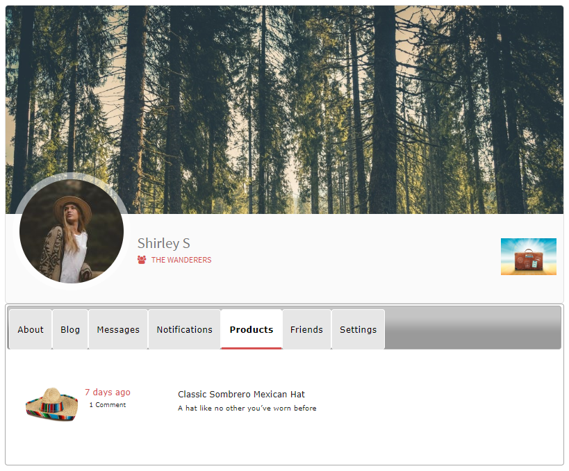 Custom Tab View on User Profile