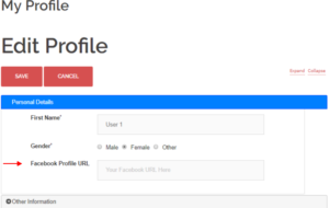 display author info in WordPress profile