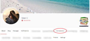 Connections Business Directory User Profiles frontend