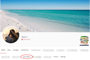 Easy Media Download Plugin User Profiles frontend