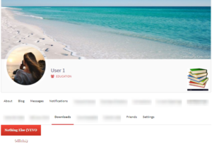 Easy Media Download Plugin User Profiles download button