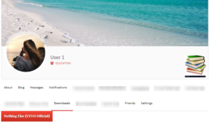 Easy Media Download Plugin User Profiles result