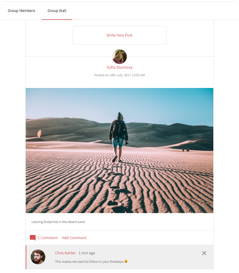 Allow User to Submit Post and Upload Media group wall dispaly