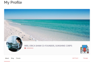 customize user display name my profile