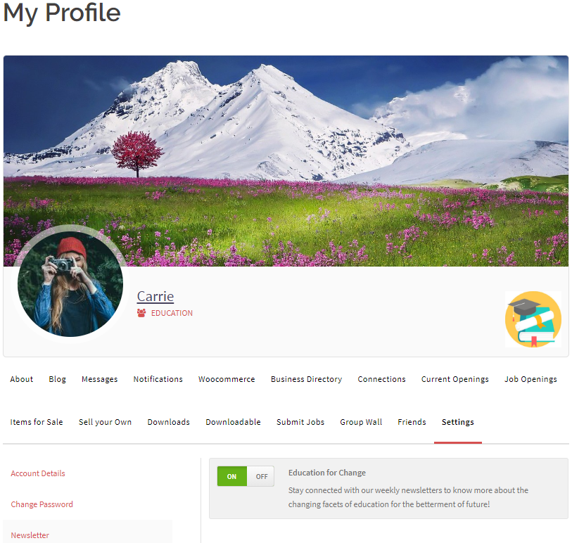 WordPress Profile frontend