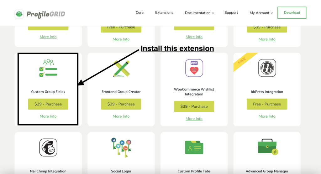 Custom Group Fields Extension Download