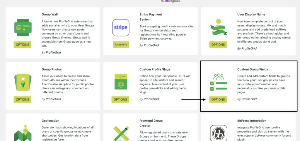 Click on Custom Group Fields Extension Option