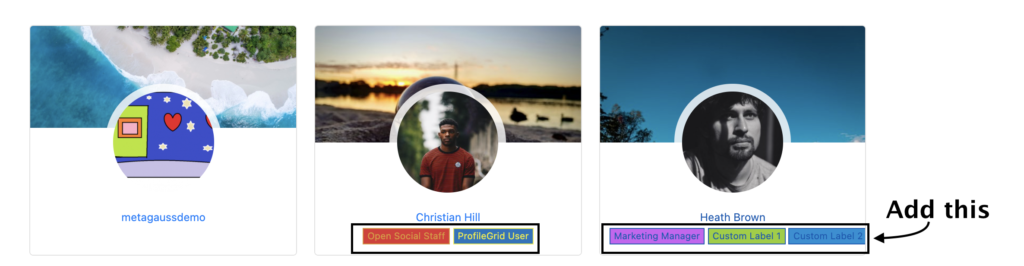 Custom Labels in Profile 