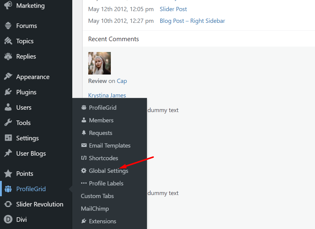 WordPress logout menu items