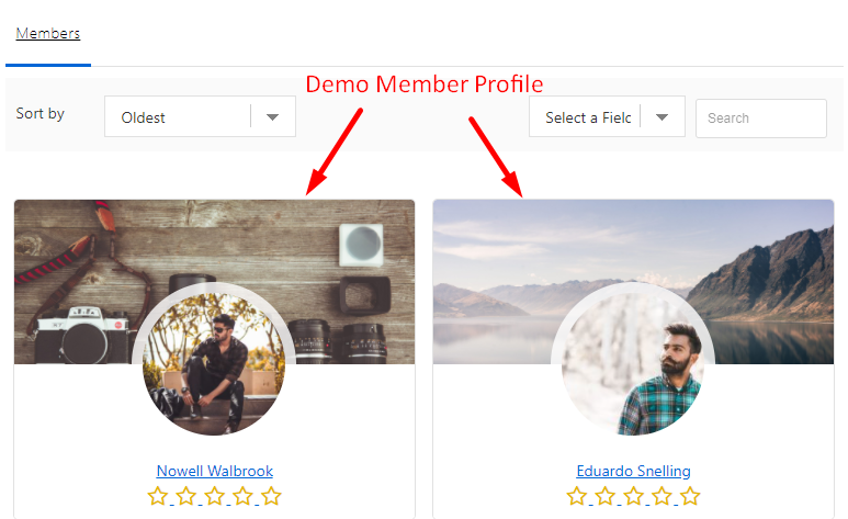 Demo Member profiles