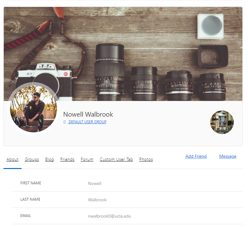 Mock-up of demo profile