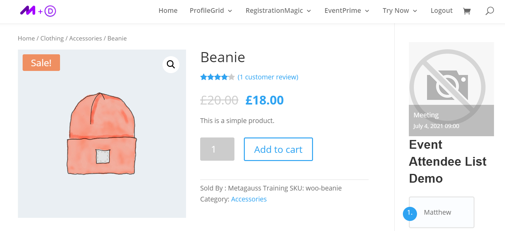 worspress subscription website