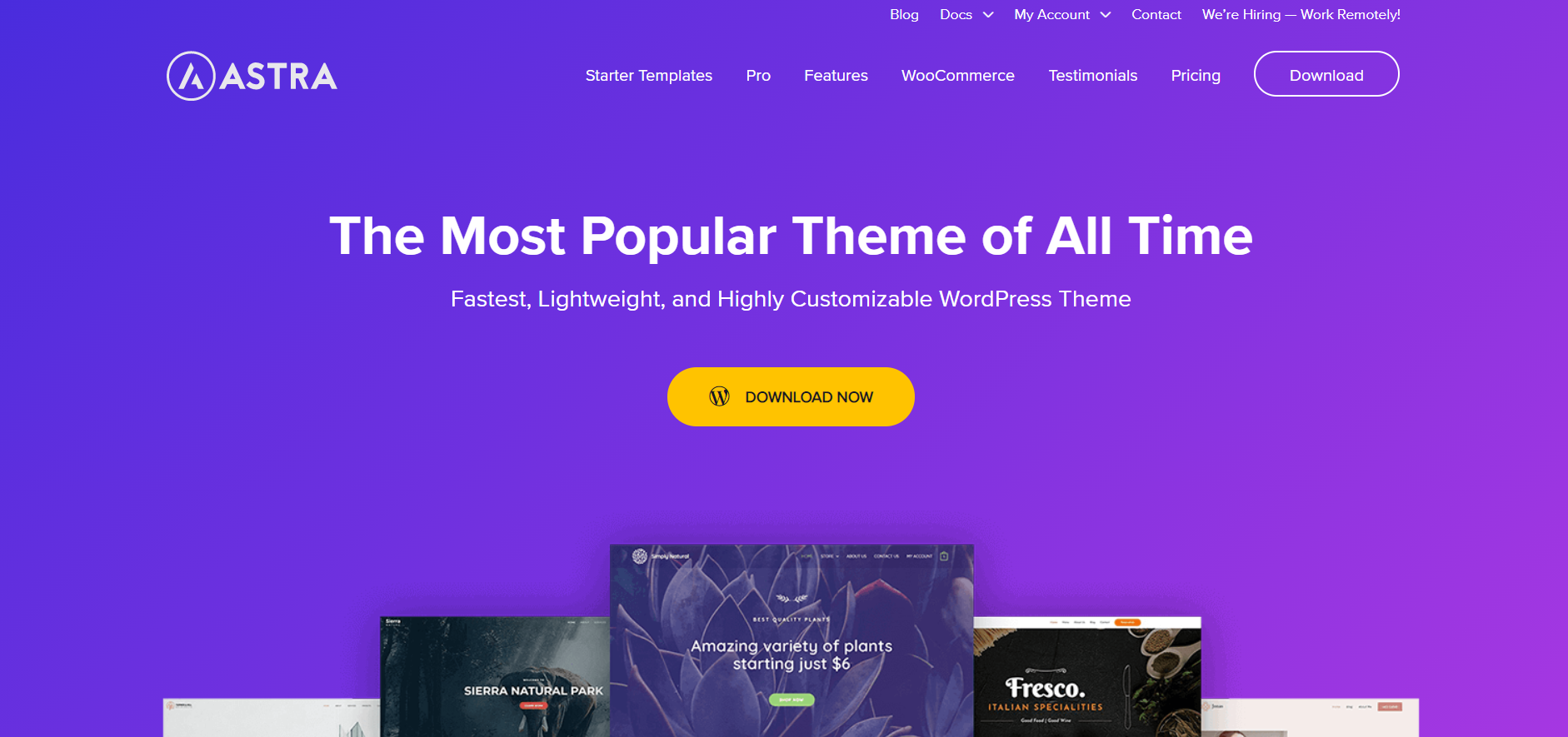 best wordpress theme - Astra