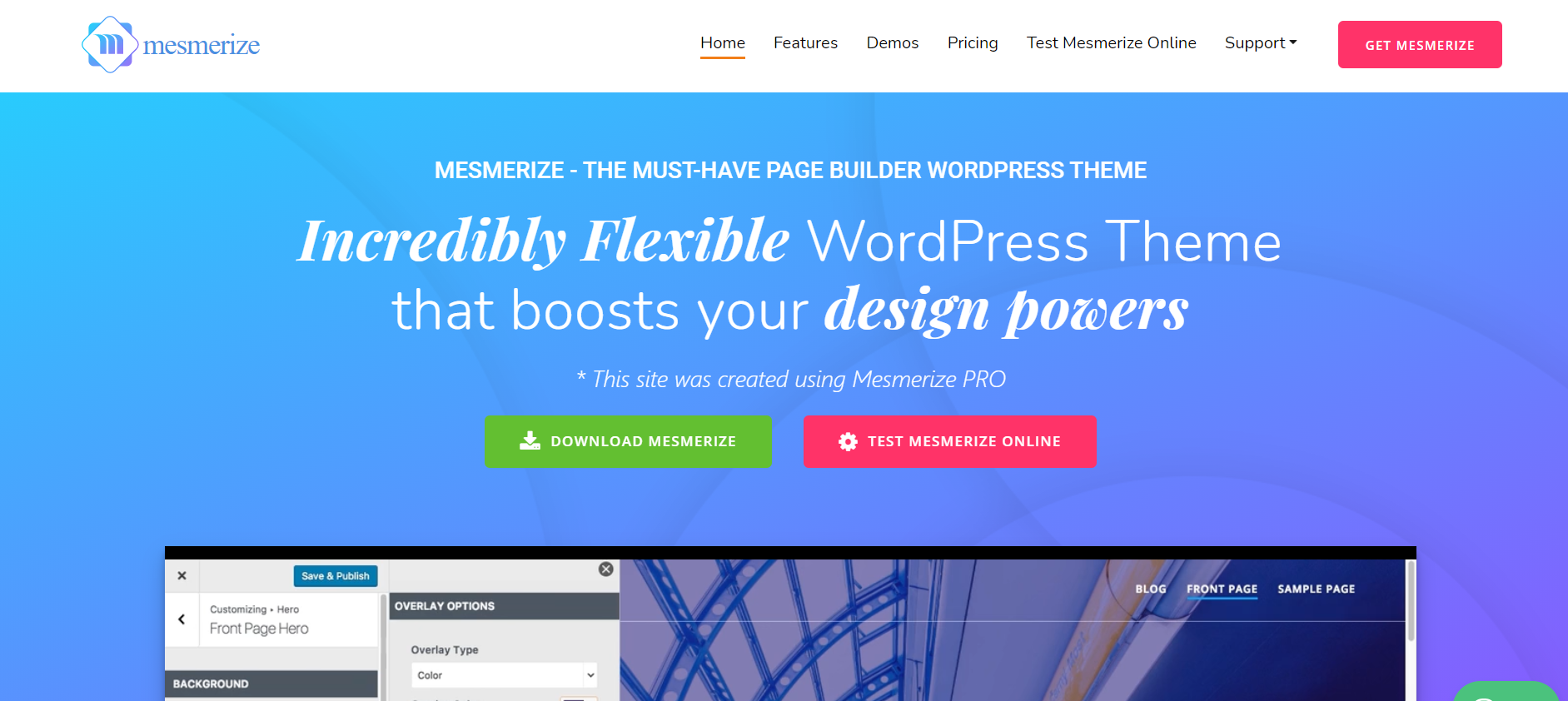 top wordpress themes