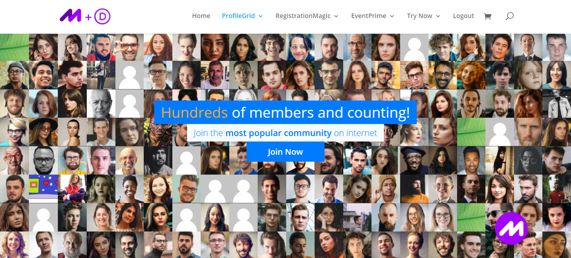 wordpress ecommerce theme