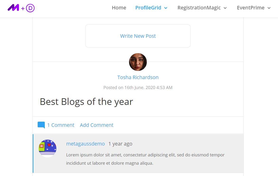 wordpress ecommerce theme