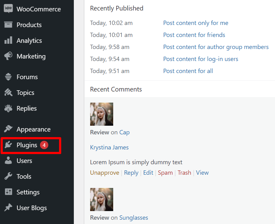 create a subscription website