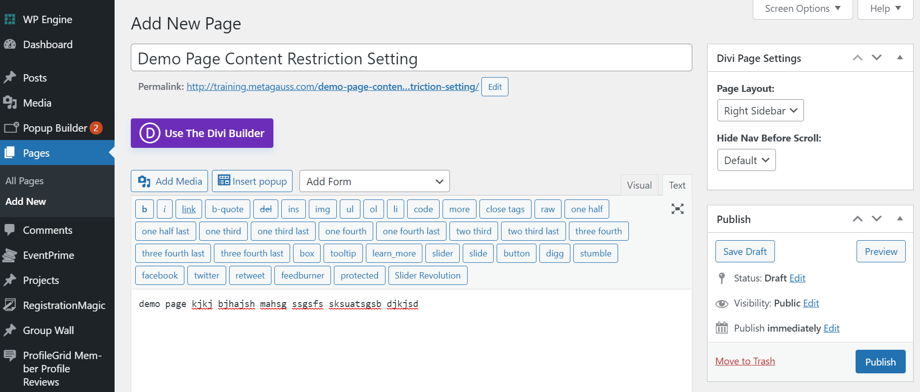 Demo Page Content Restriction Setting