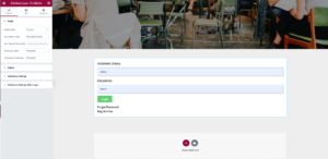 elementor-user-login-4