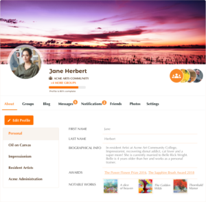 profile-completeness-view